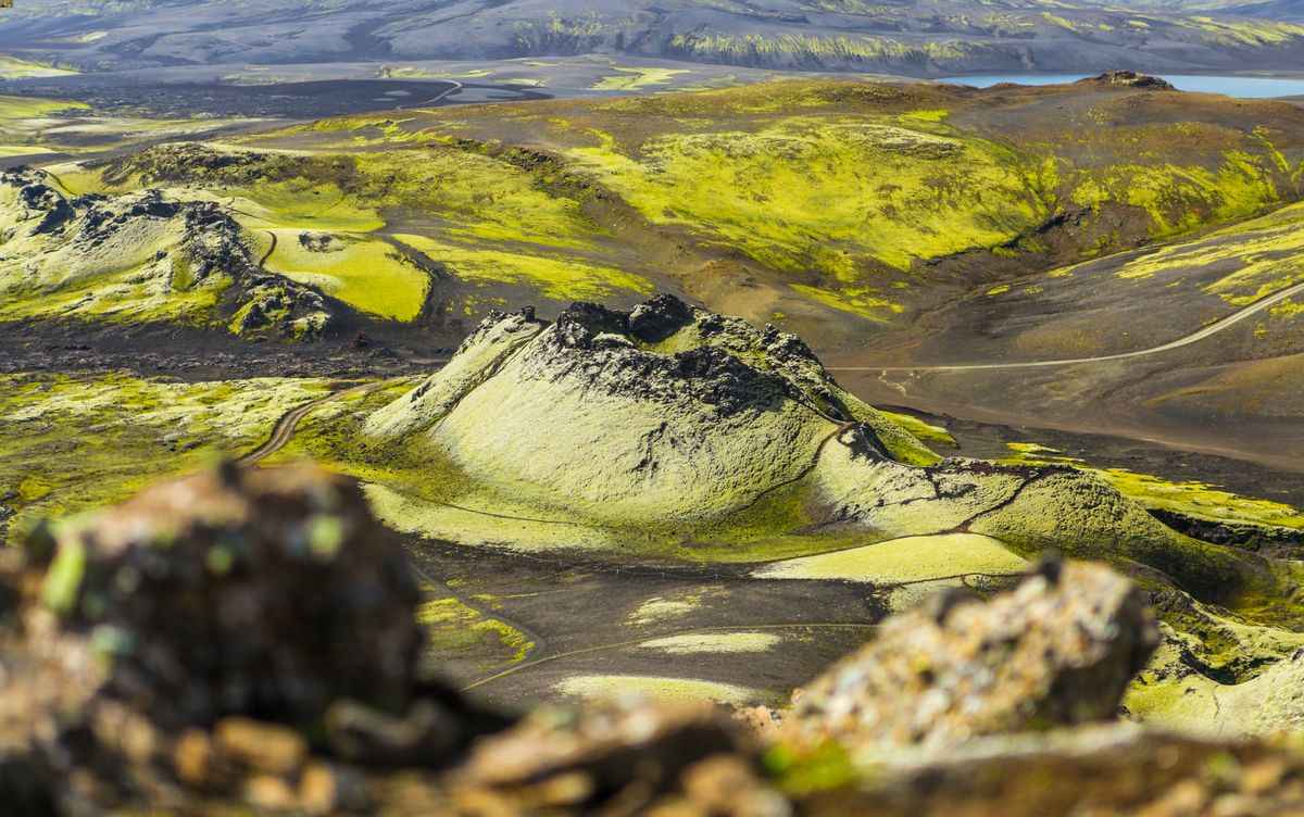Moss-covered Laki crater landscape viewed from the F206 track.