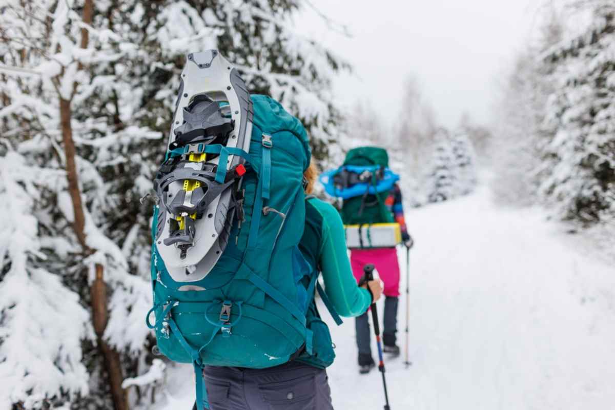 A group of hikers with their backs turned walk through what looks like a completely snowy Icelandic forest while carrying huge backpacks with supplies and clothing.