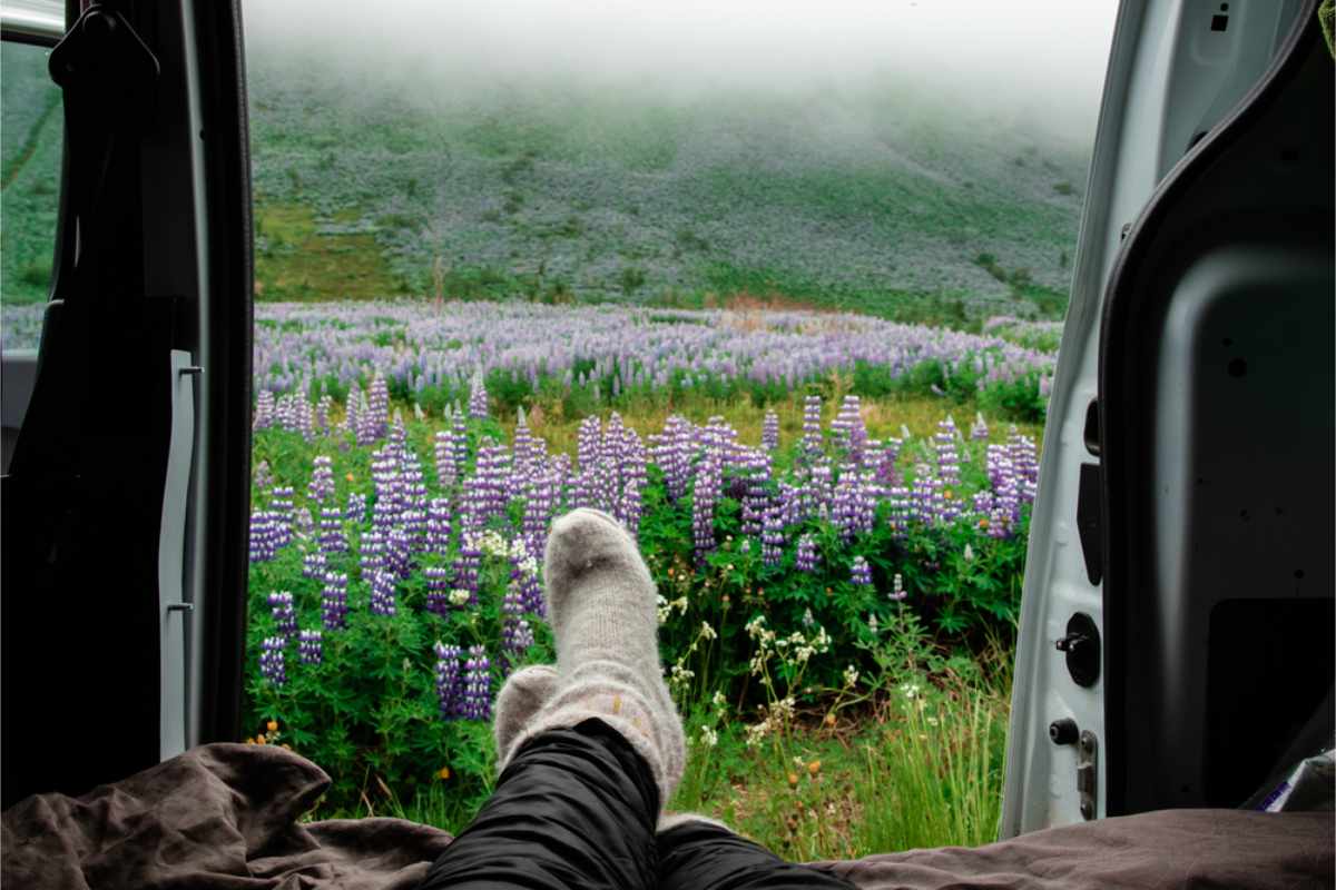 View from a van of socked feet resting, facing a lush field of purple lupines under a foggy sky, conveying a peaceful retreat.